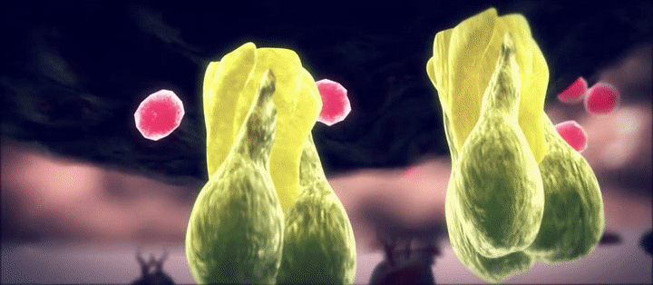 Influenza animation - flu virus mechanism on Make a GIF
