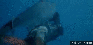 L'enfer des Zombies (Zombie 2) - Requin (Shark) vs Zombie on Make a GIF