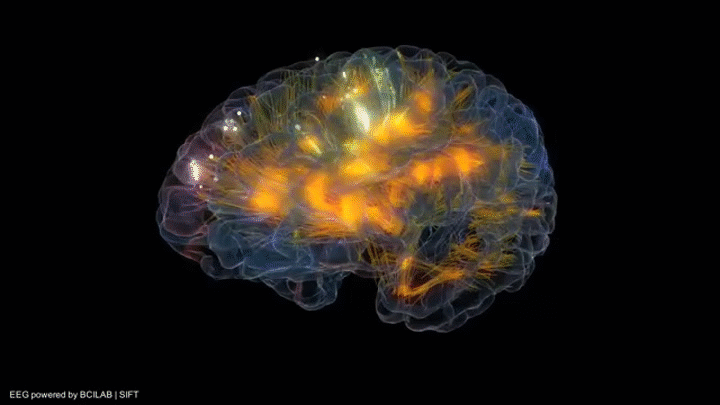 Glass brain flythrough - Gazzaleylab / SCCN / Neuroscapelab on Make a GIF