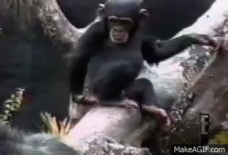 Uh Oh Stinky GIF - UhOh Stinky Monkey - Discover & Share GIFs