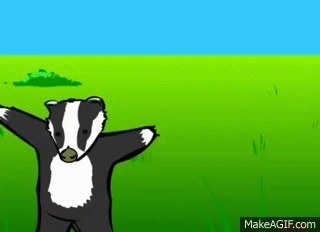 Image result for badger song gif